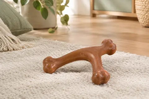 Jouet à mâcher Benebone en forme de wishbone posé sur un tapis crème dans un intérieur lumineux.