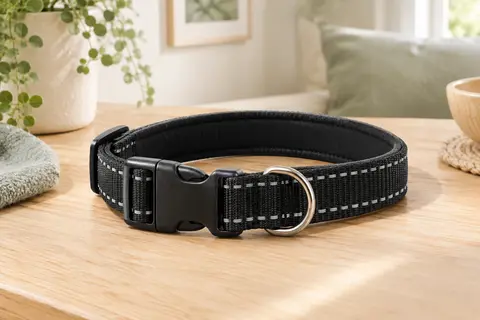 Collier noir pour chien en nylon, rembourré de néoprène, avec coutures réfléchissantes, boucle latérale et anneau en D.